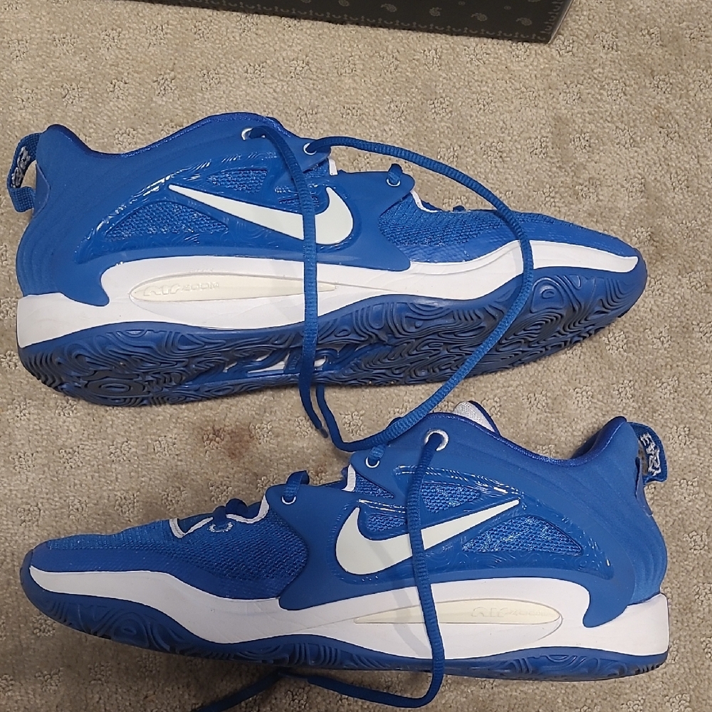 Nike Kd15